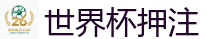 2026 FIFA 世界杯(押注)官方中文站